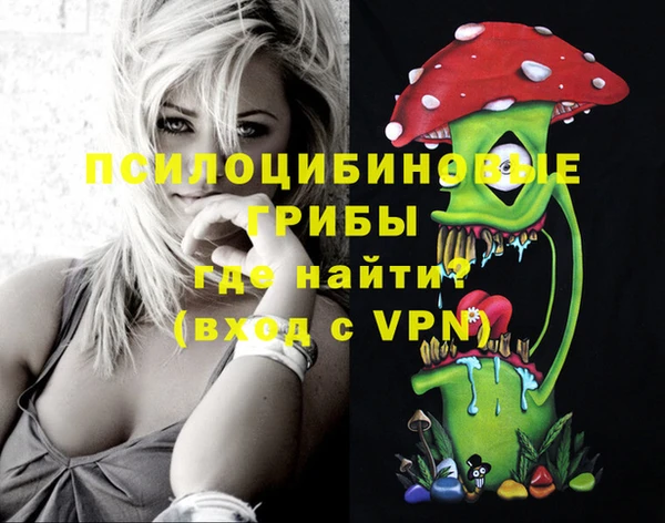 дурь Белокуриха
