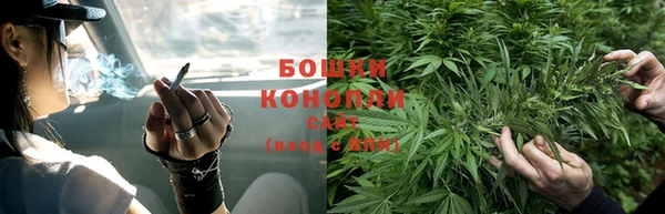 ПСИЛОЦИБИНОВЫЕ ГРИБЫ Баксан