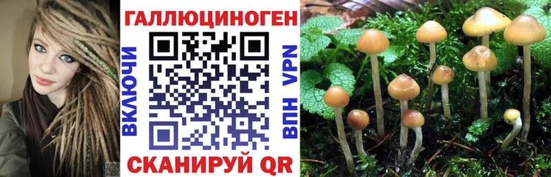 купить наркотики цена  Красноуральск  Псилоцибиновые грибы GOLDEN TEACHER 